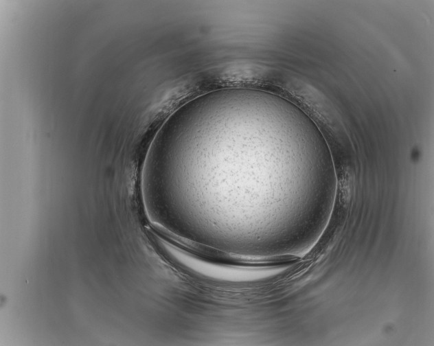 X0000095530458200712211329