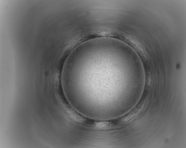 X0000095530461200712211329