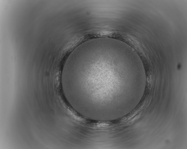 X0000095530462200712211329