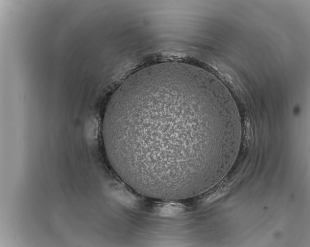 X0000095530463200712211329