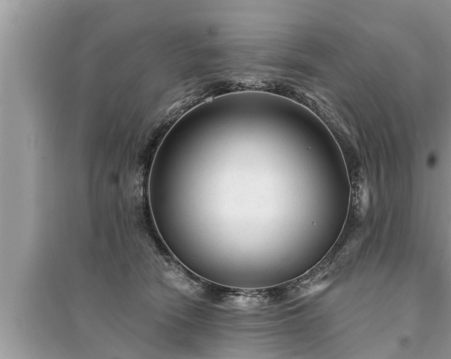 X0000095530466200712211329