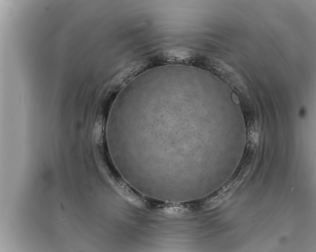 X0000095530468200712211329