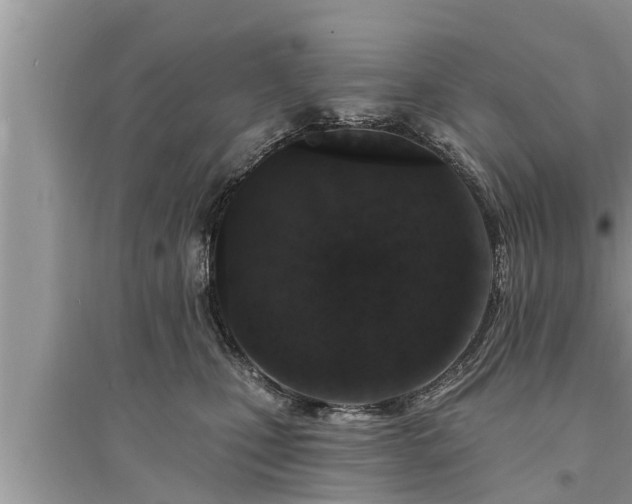 X0000095530471200712211329