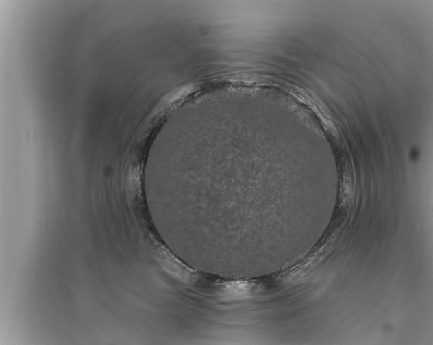 X0000095530473200712211329