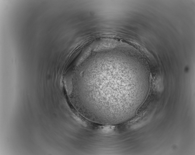 X0000095530474200712211329