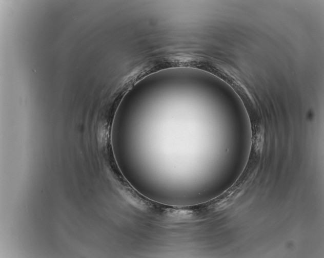 X0000095530476200712211330