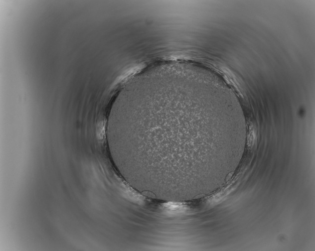 X0000095530477200712211330
