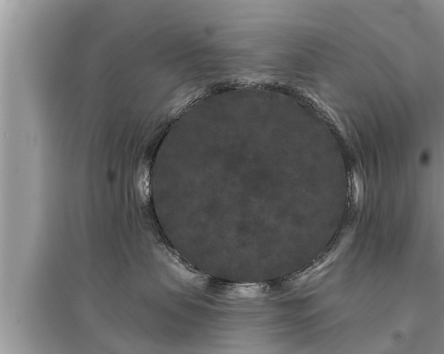 X0000095530479200712211330
