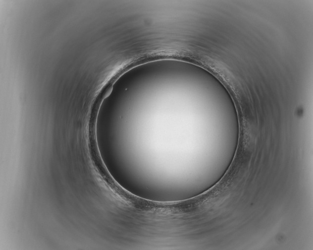 X0000095530482200712211329