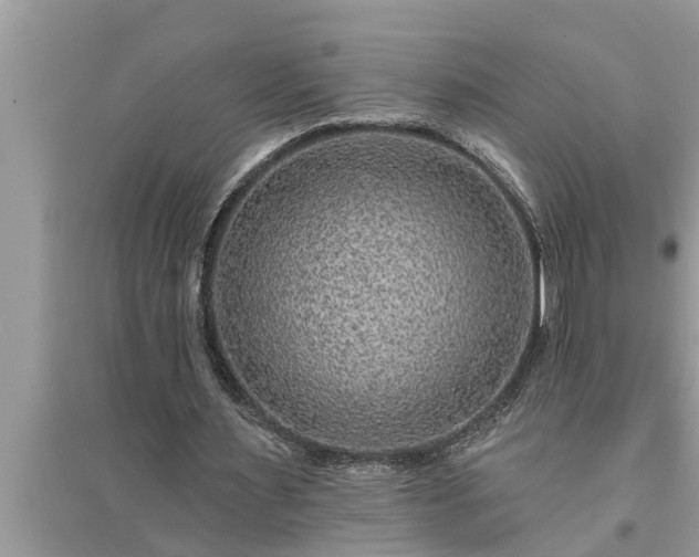 X0000095530483200712211329