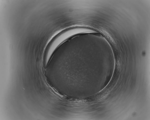 X0000095530484200712211329