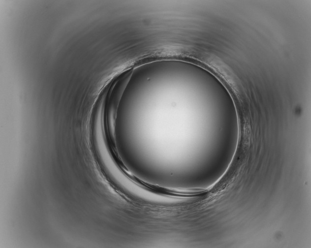 X0000095530485200712211329