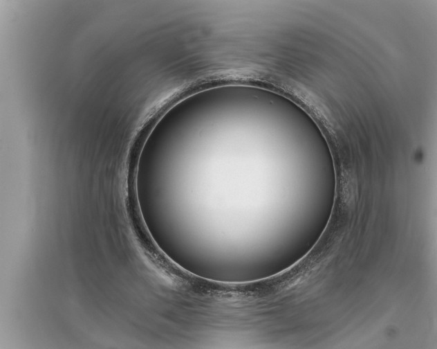 X0000095530486200712211329