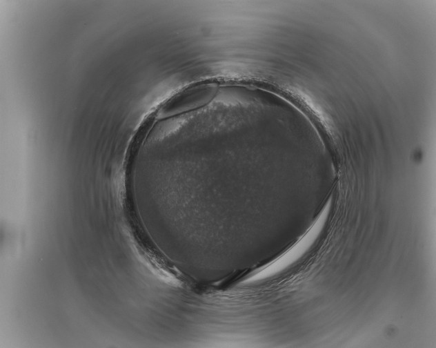 X0000095530488200712211329
