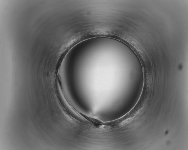 X0000095530489200712211329