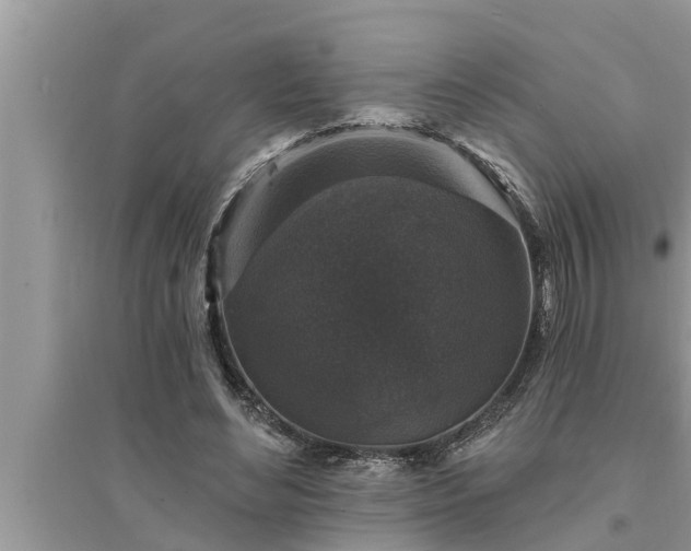 X0000095530492200712211329