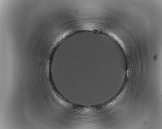 X0000095530493200712211329