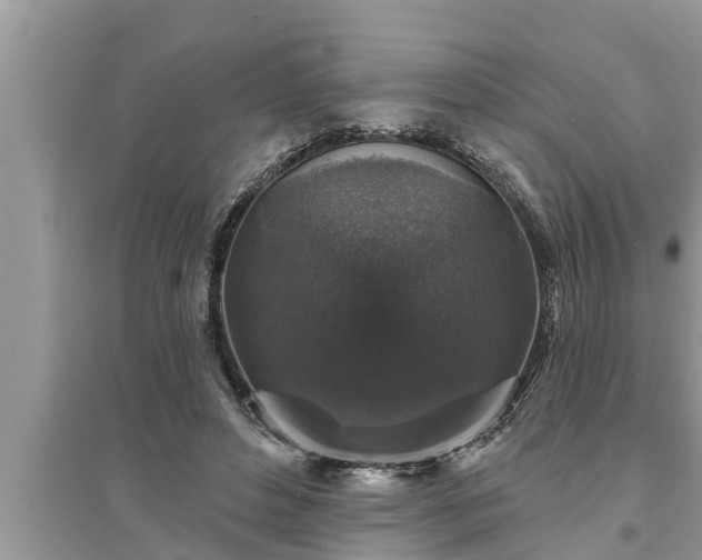 X0000095530496200712211329