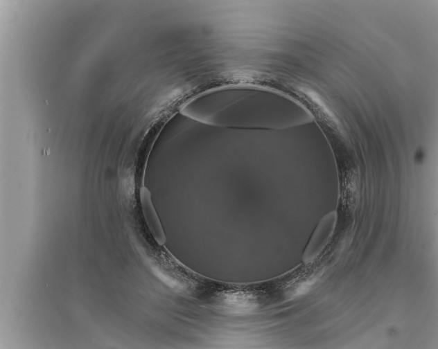 X0000095530500200712211328