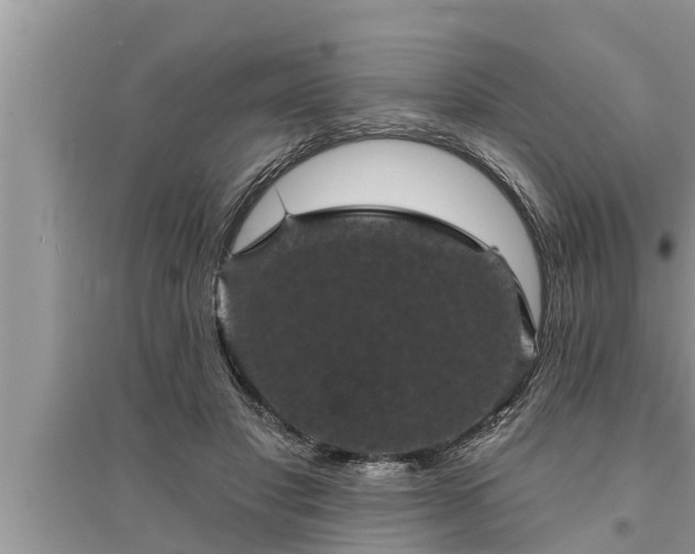X0000095530501200712211328