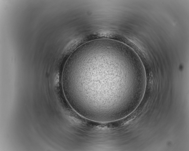 X0000095530502200712211328