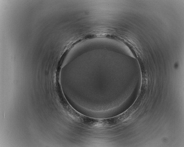 X0000095530504200712211328