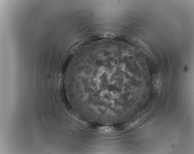 X0000095530511200712211328