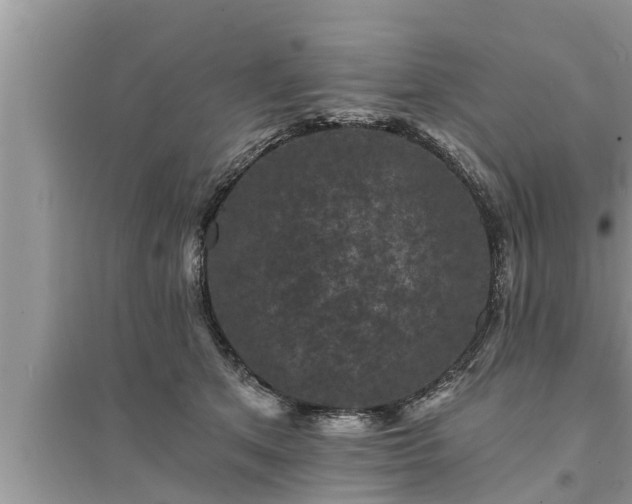 X0000095530513200712211328