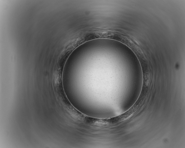 X0000095530515200712211328