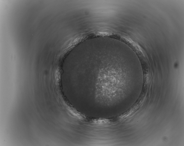 X0000095530517200712211328