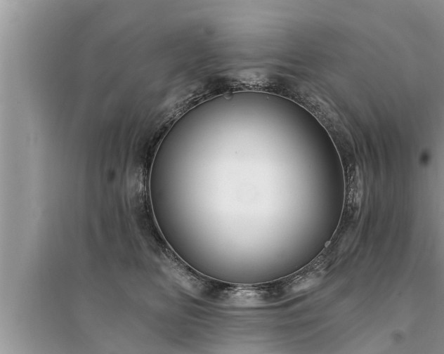 X0000095530518200712211328