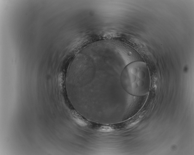 X0000095530519200712211328