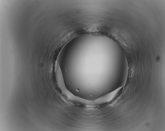 X0000095530521200712211328