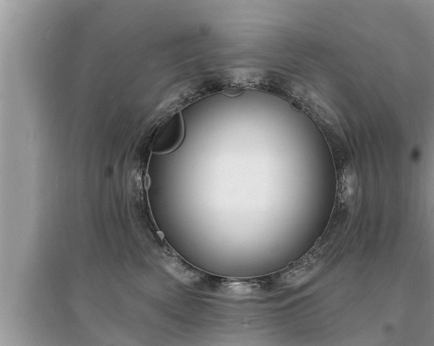 X0000095530522200712211328