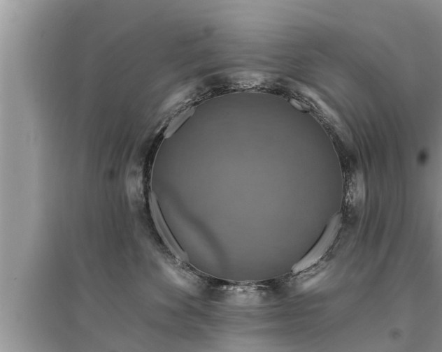 X0000095530524200712211328