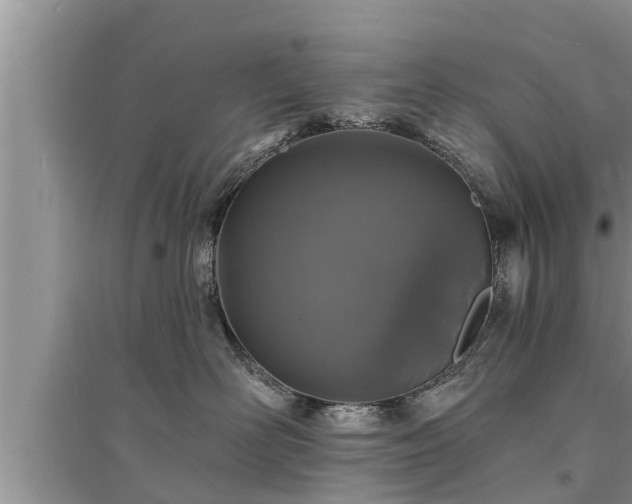 X0000095530526200712211328
