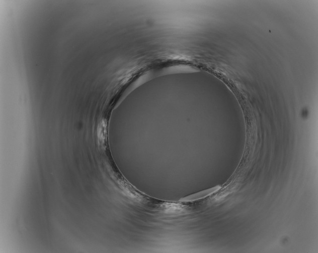 X0000095530528200712211328