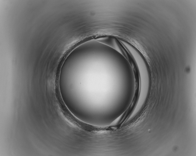X0000095530530200712211327