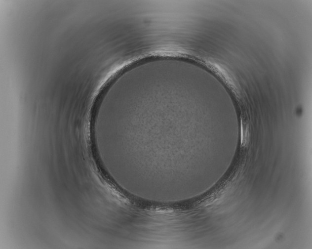 X0000095530531200712211327