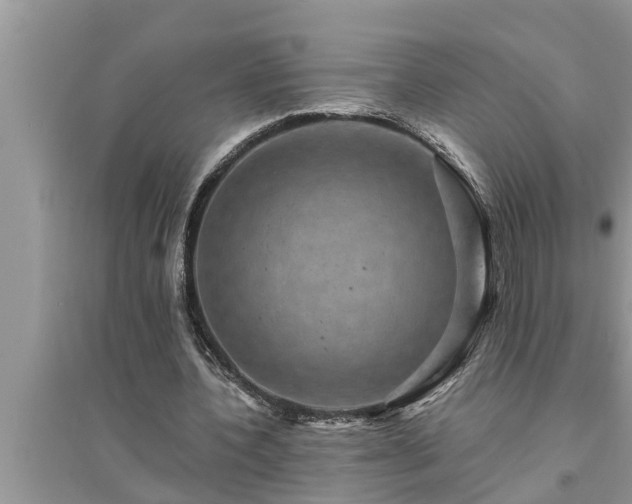 X0000095530532200712211327