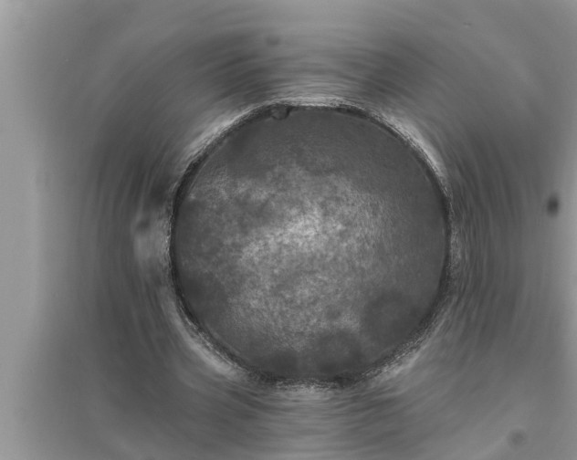 X0000095530533200712211327