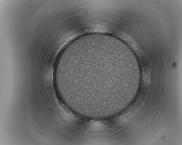X0000095530534200712211327