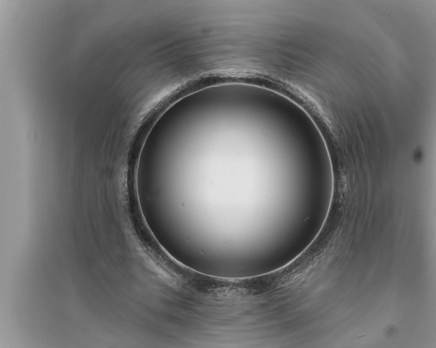X0000095530535200712211327