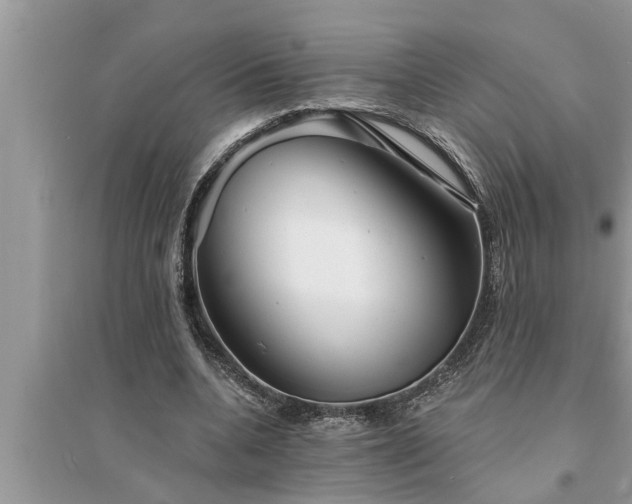 X0000095530536200712211327