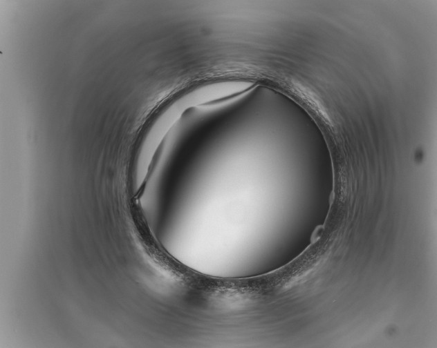 X0000095530538200712211327