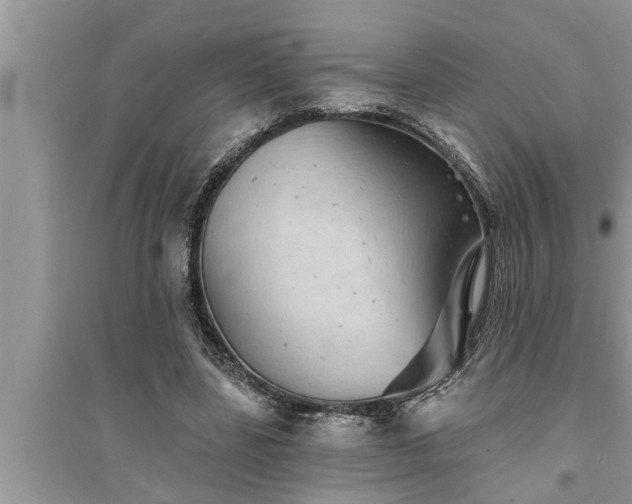 X0000095530539200712211327