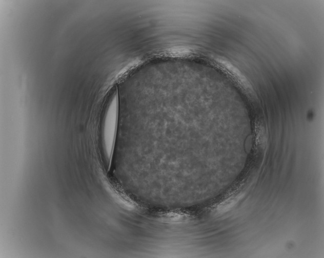 X0000095530542200712211327