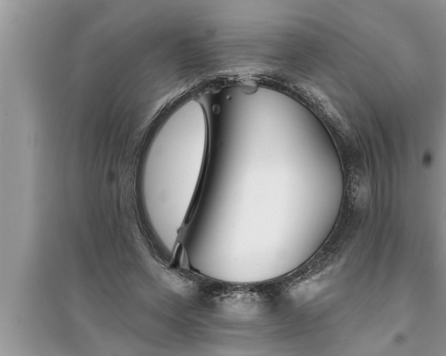 X0000095530543200712211327