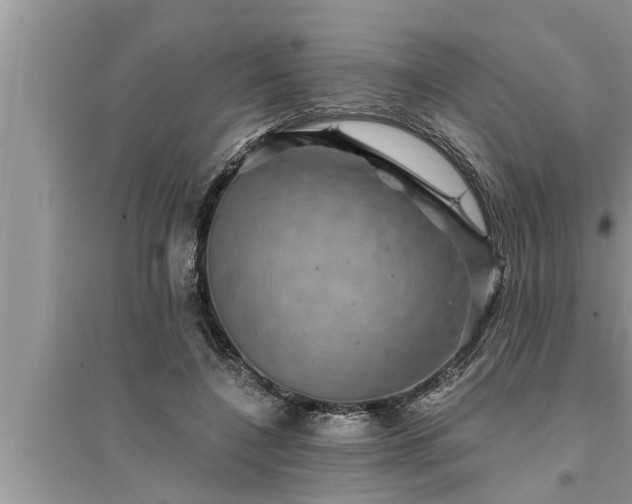 X0000095530548200712211327