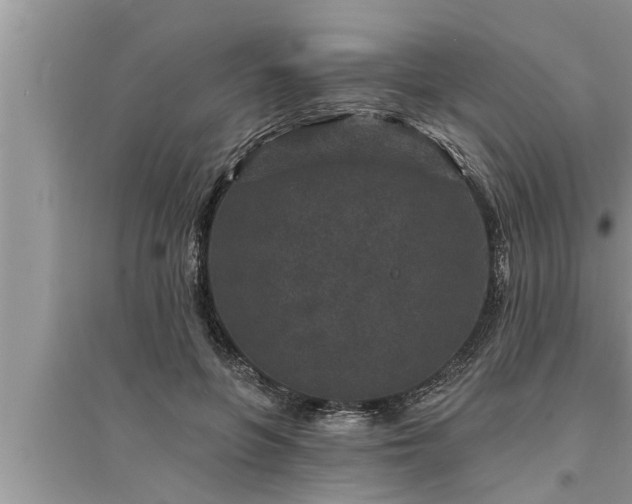 X0000095530551200712211327
